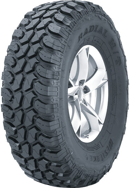 WESTLAKE SL366 MT P.O.R – modellbilde